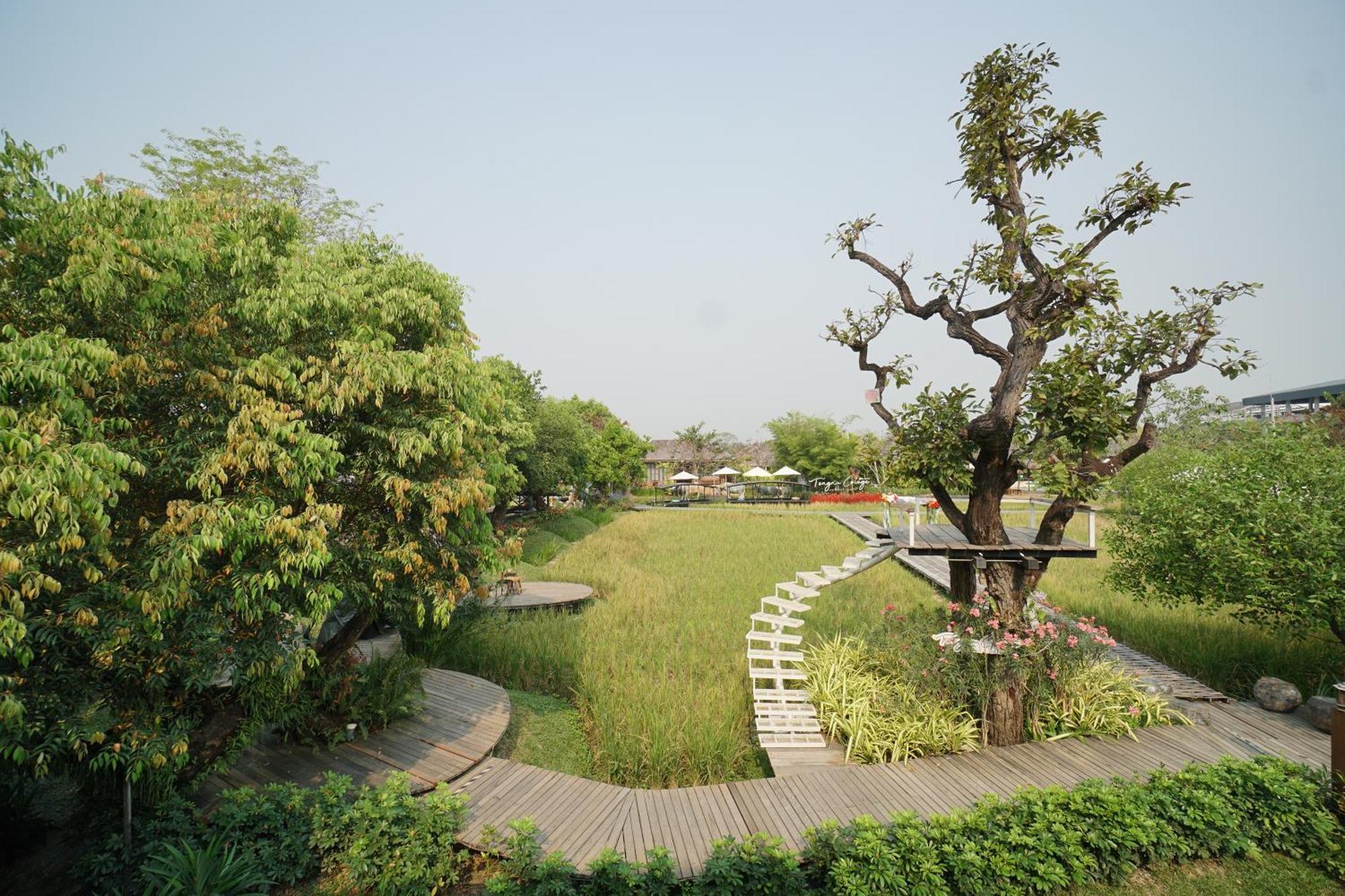 צ'יאנג מאי Tongna Cottage Natural Resort מראה חיצוני תמונה